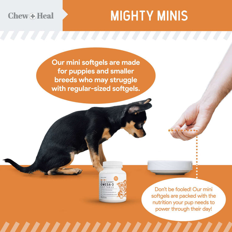 Mini Wild-Caught Omega-3 Softgels Skin & Coat Supplement for Puppies