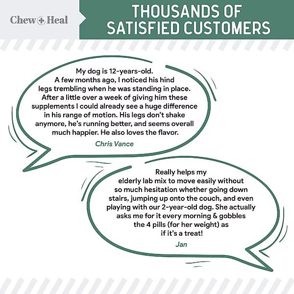 Chew + Heal Senior Hip & Joint Dog Supplement, 60 count