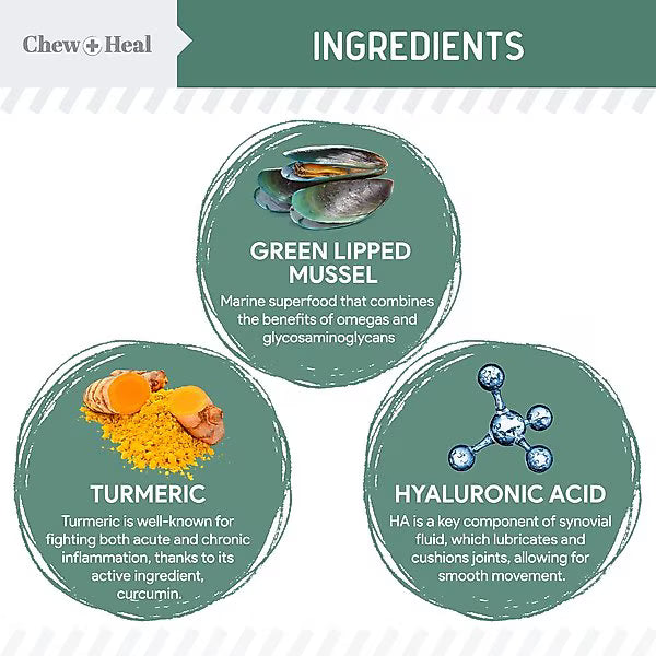 Chew + Heal Senior Hip & Joint Dog Supplement, 60 count