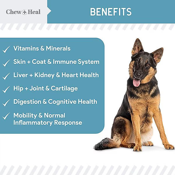 Chew + Heal Daily 12-in-1 Multivitamin, Multifunctional Wellness Powder Supplement for Dogs