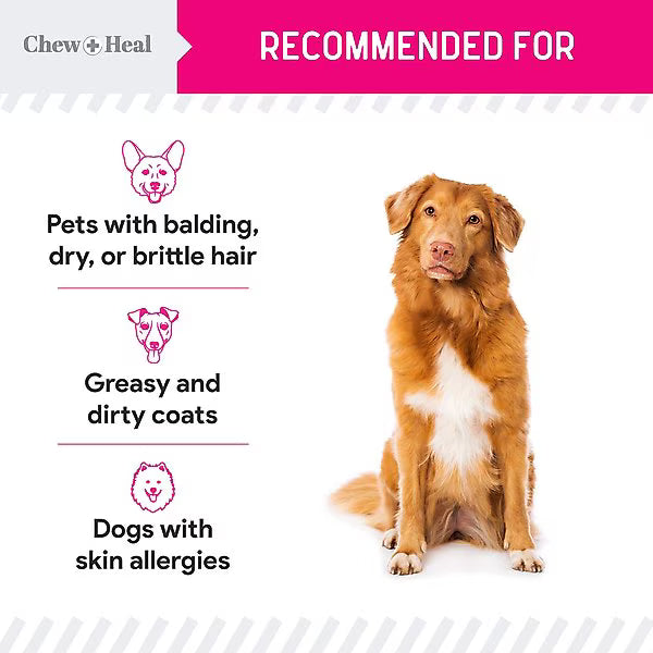 Chew + Heal Omega Skin + Coat with Flaxseed, Kelp & Omegas Powder Supplement for Dogs