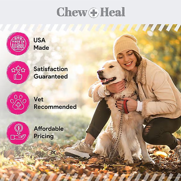 Chew + Heal Omega Skin + Coat with Flaxseed, Kelp & Omegas Powder Supplement for Dogs