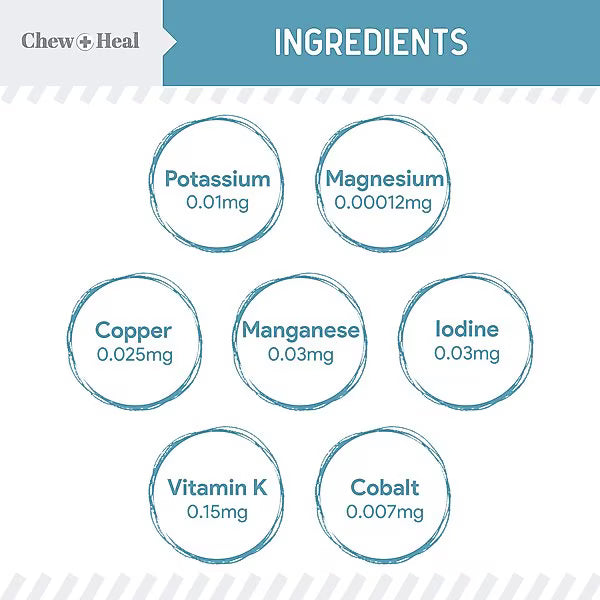 Chew + Heal Daily 12-in-1 Multivitamin, Multifunctional Wellness Powder Supplement for Dogs