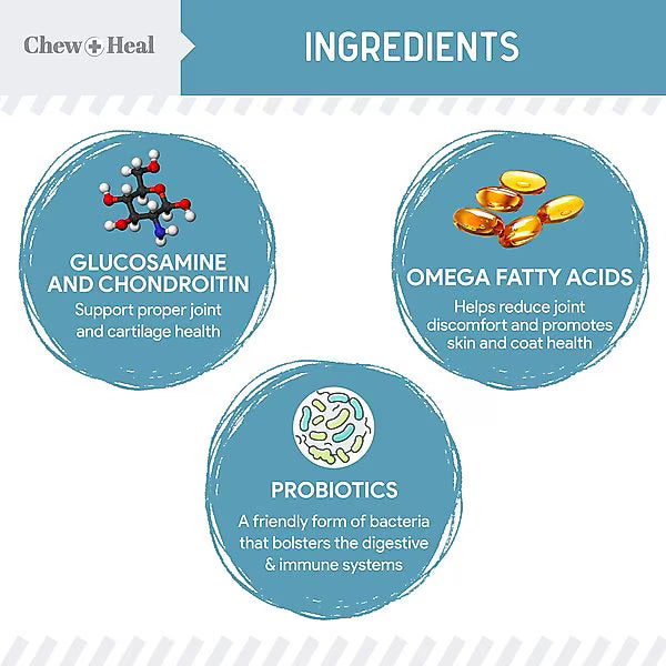 Chew + Heal Daily 12-in-1 Multivitamin, Multifunctional Wellness Powder Supplement for Dogs