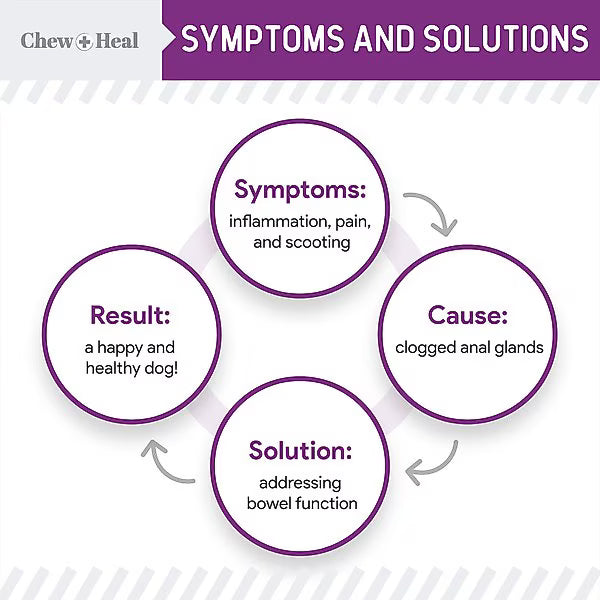 Chew + Heal Stop The Scoot Anal Glands Powder Supplement for Dogs