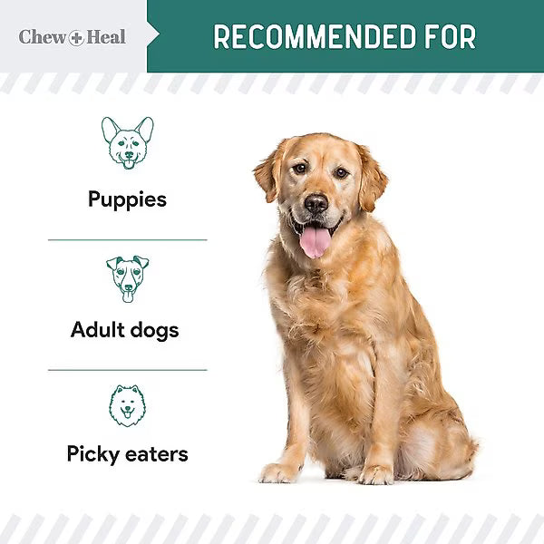 Chew + Heal Essential 12-in-1 Multivitamin Soft Chews for Dogs, 60 count