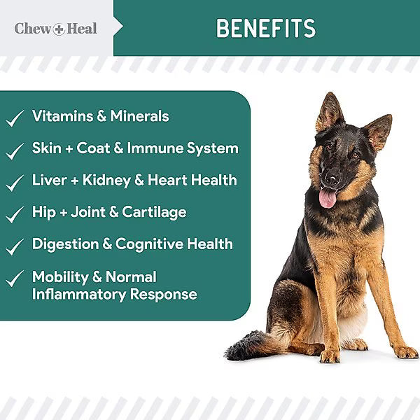 Chew + Heal Essential 12-in-1 Multivitamin Soft Chews for Dogs, 60 count