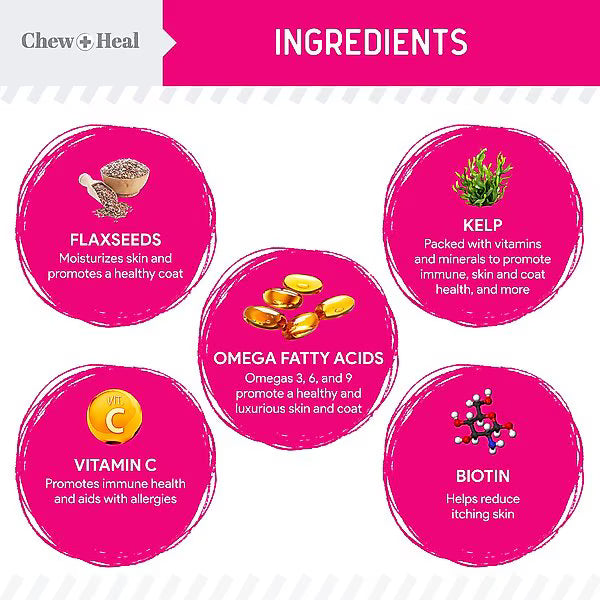 Chew + Heal Omega Skin + Coat with Flaxseed, Kelp & Omegas Powder Supplement for Dogs
