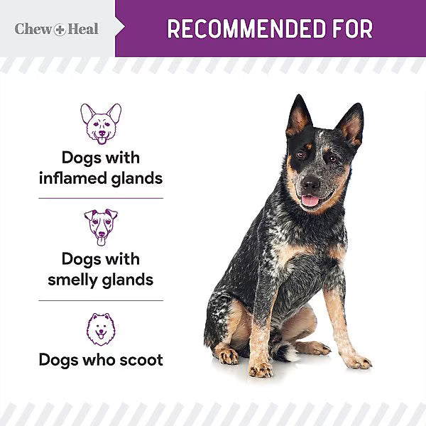 Chew + Heal Stop The Scoot Anal Glands Powder Supplement for Dogs