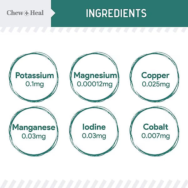 Chew + Heal Essential 12-in-1 Multivitamin Soft Chews for Dogs, 60 count