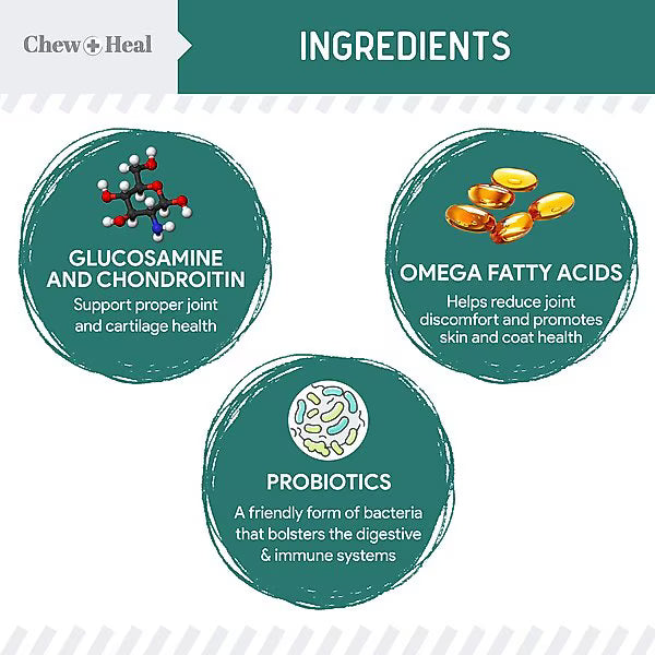 Chew + Heal Essential 12-in-1 Multivitamin Soft Chews for Dogs, 60 count