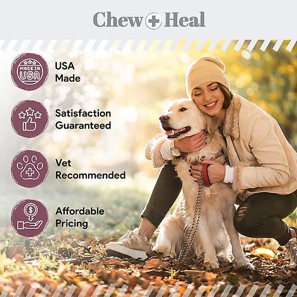 Chew + Heal Senior 12-In-1 Advanced Multivitamin Soft Chews Supplement for Senior Dogs, 120 count
