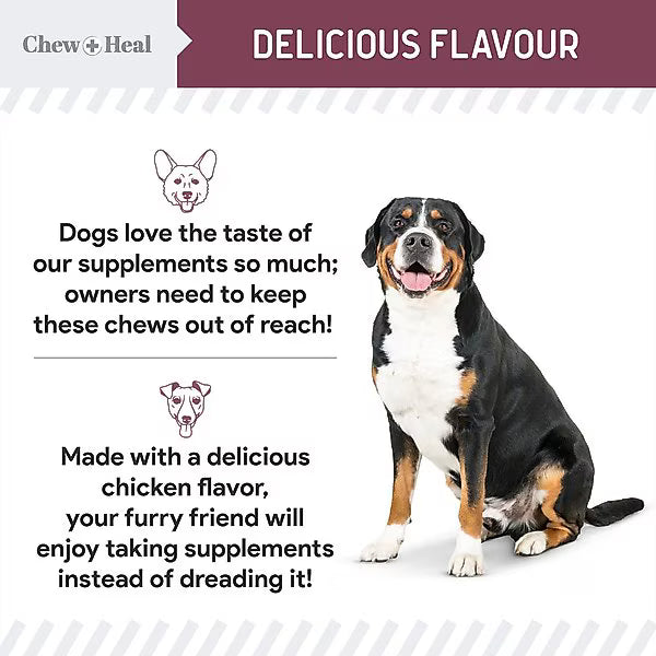 Chew + Heal Senior 12-In-1 Advanced Multivitamin Soft Chews Supplement for Senior Dogs, 120 count