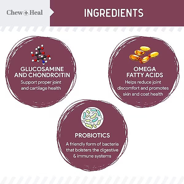 Chew + Heal Senior 12-In-1 Advanced Multivitamin Soft Chews Supplement for Senior Dogs, 120 count