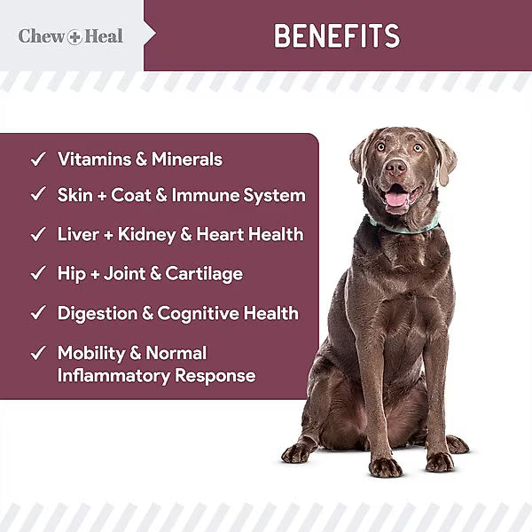 Chew + Heal Senior 12-In-1 Advanced Multivitamin Soft Chews Supplement for Senior Dogs, 120 count