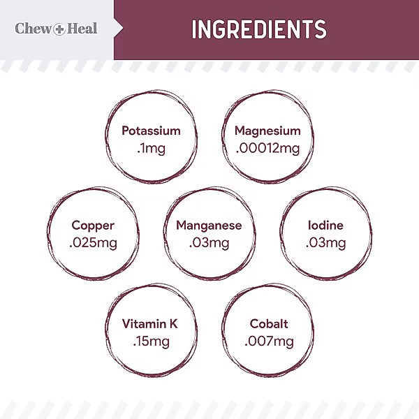 Chew + Heal Senior 12-In-1 Advanced Multivitamin Soft Chews Supplement for Senior Dogs, 120 count