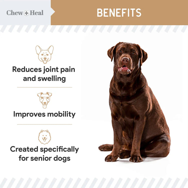 Hip & Joint Mobility Peanut Butter Flavored Soft Chew Senior Dog Supplement Regular price