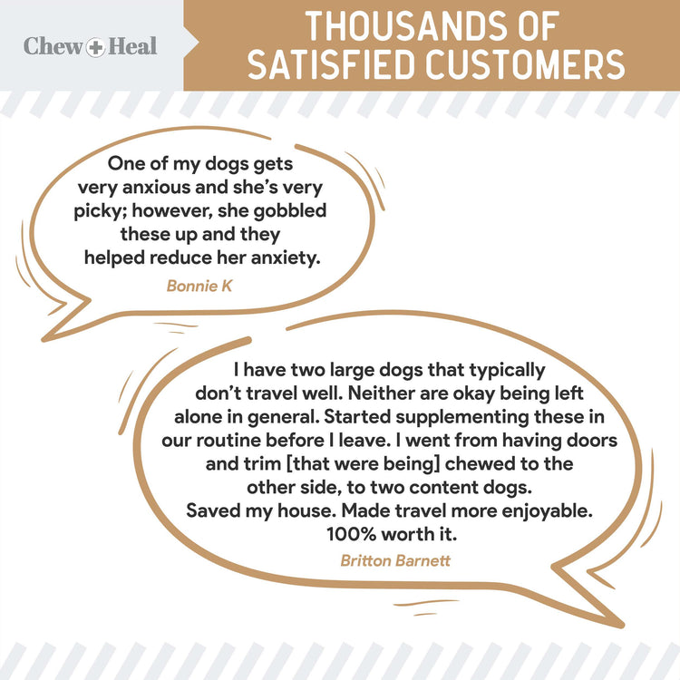 Anxiety + Stress Peanut Butter Flavored Soft Chew Calming Dog Supplement