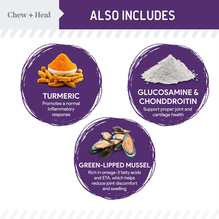 Mobility Wild Alaskan Salmon Limited Ingredient Soft Jerky Dog Treats