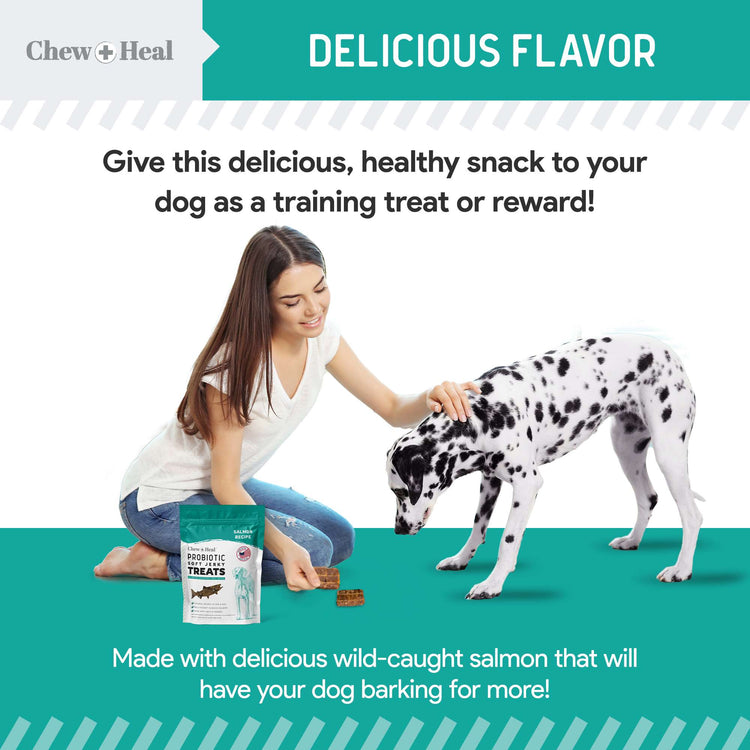 Chew + Heal Wild Alaskan Probiotics Digestive Aid Salmon Soft Jerky Dog Treats