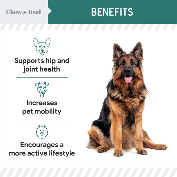 Green Lipped Mussel Powder Joint & Ligament Health Supplement for Dogs & Cats (6 oz)