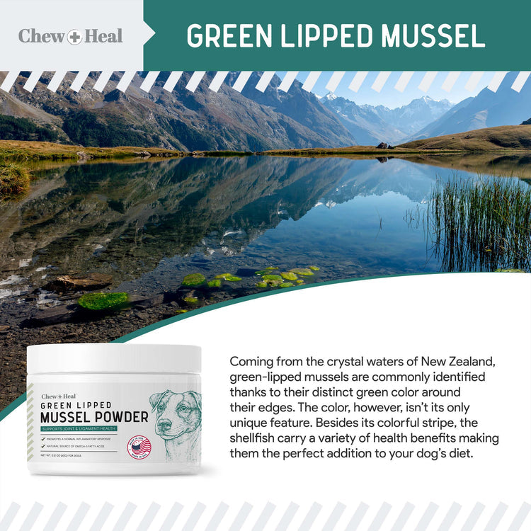Green Lipped Mussel Powder Joint & Ligament Health Supplement for Dogs & Cats (6 oz)