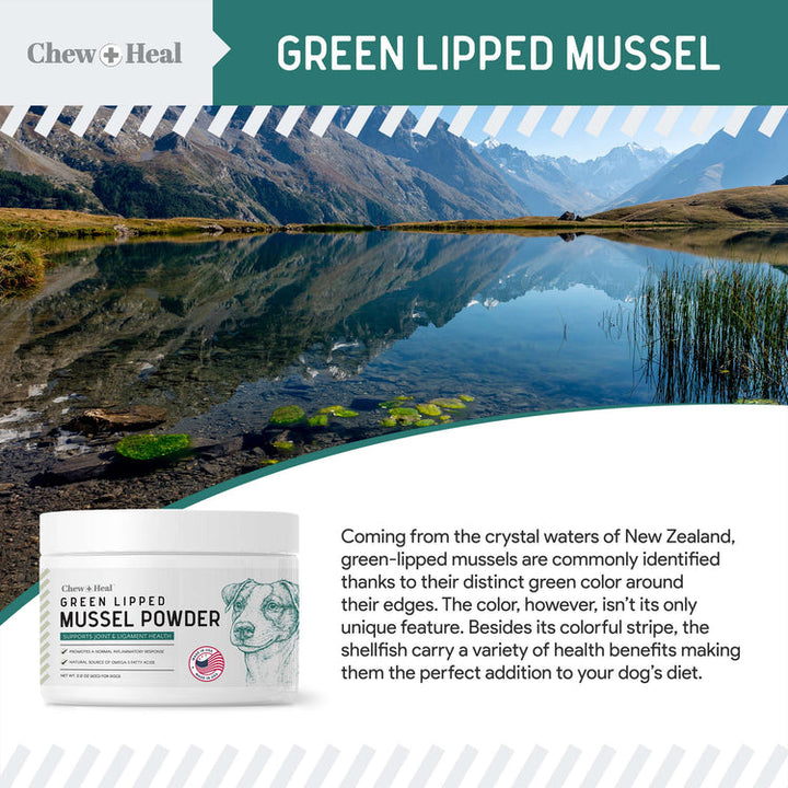 Green Lipped Mussel Powder Joint & Ligament Health Supplement for Dogs & Cats (6 oz)