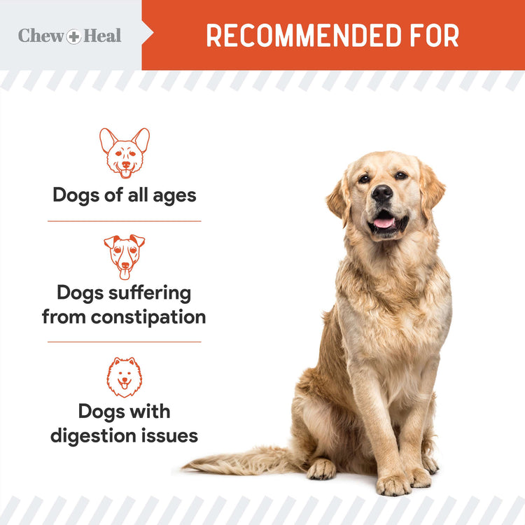 Organic Pumpkin Digestive Defense Superfood Blend Powder Digestive Aid Supplement for Dogs