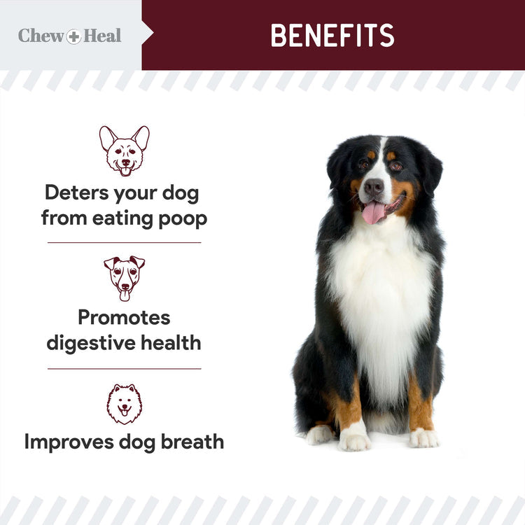 Roasted Lamb Stop The Poo Soft Chew Coprophagia & Digestive Supplement for Dogs