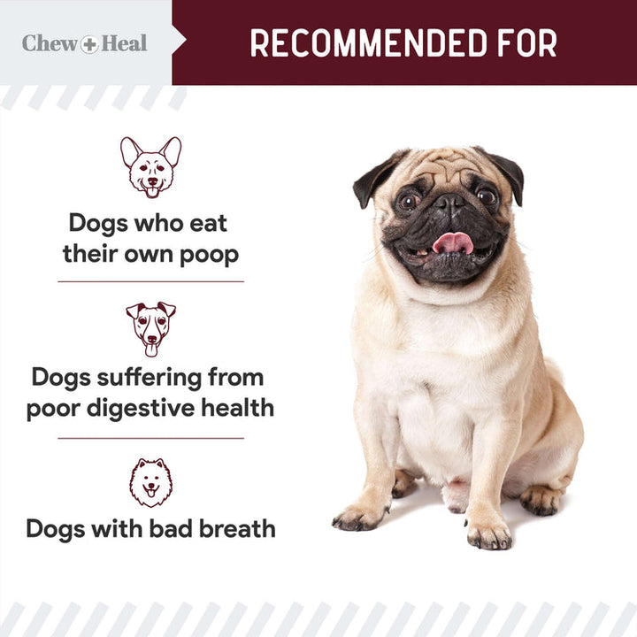 Roasted Lamb Stop The Poo Soft Chew Coprophagia & Digestive Supplement for Dogs