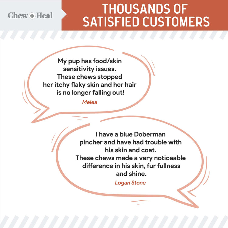 Salmon Omega Skin & Coat Supplement for Dogs