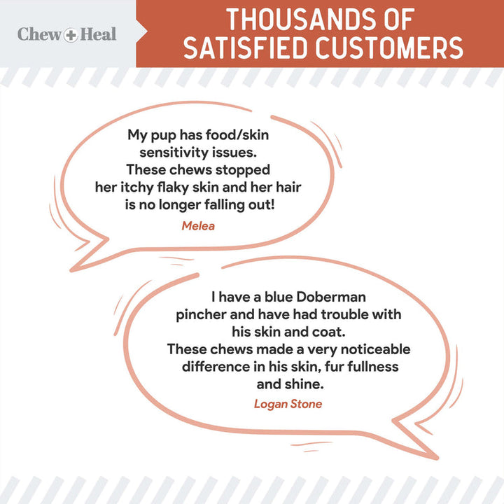 Salmon Omega Skin & Coat Supplement for Dogs