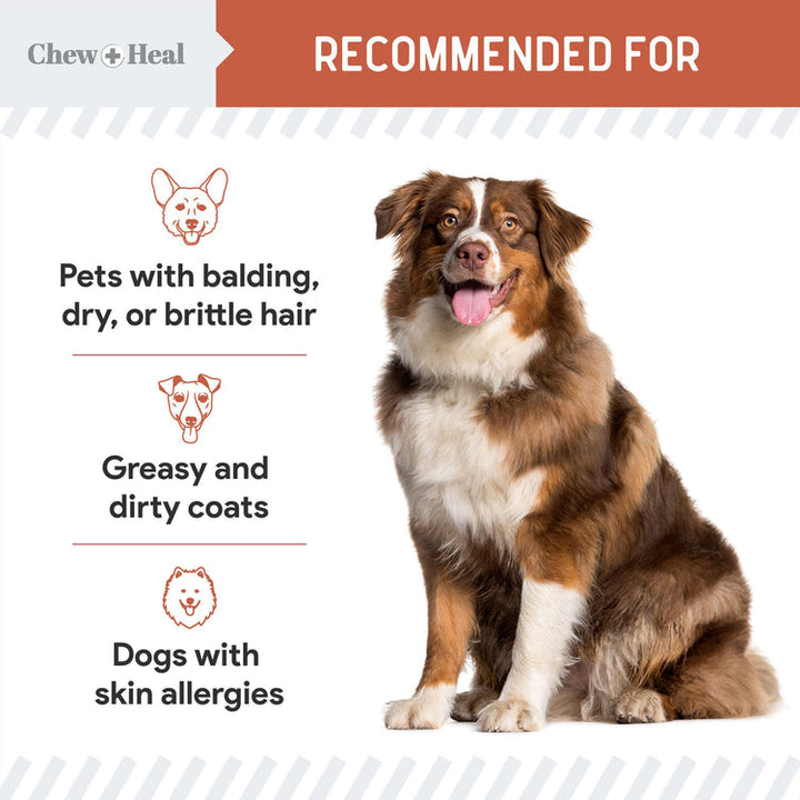Salmon Omega Skin & Coat Supplement for Dogs