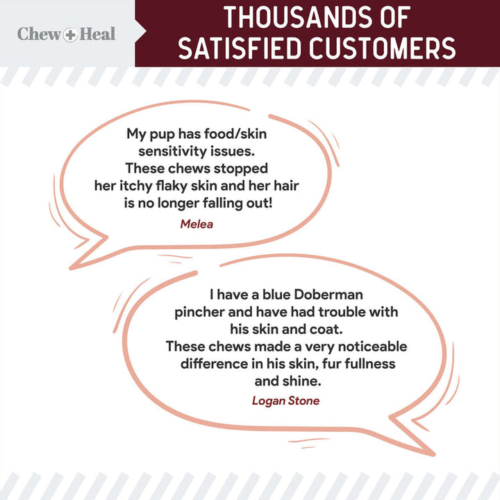 Savory Lamb Omega Skin & Coat Supplement for Dogs