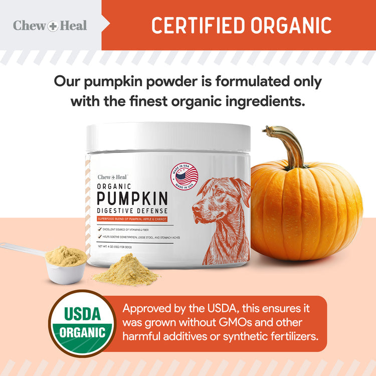 Organic Pumpkin Digestive Defense Superfood Blend Powder Digestive Aid Supplement for Dogs