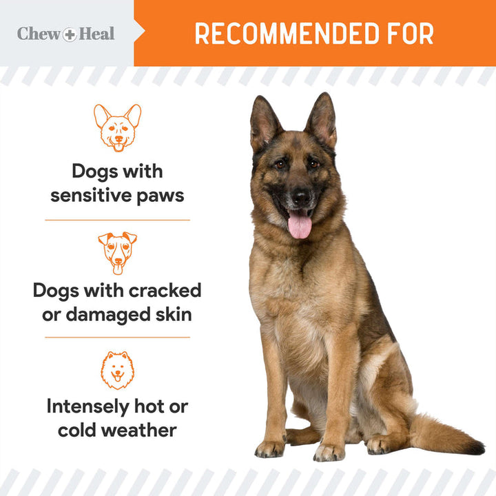 Paw Support Revitalizing Dog Paw Balm