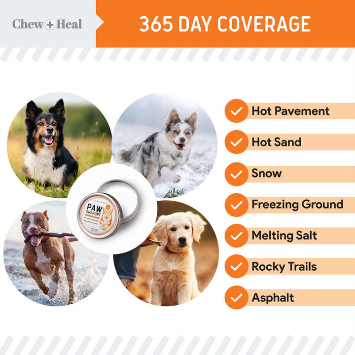 Paw Support Revitalizing Dog Paw Balm
