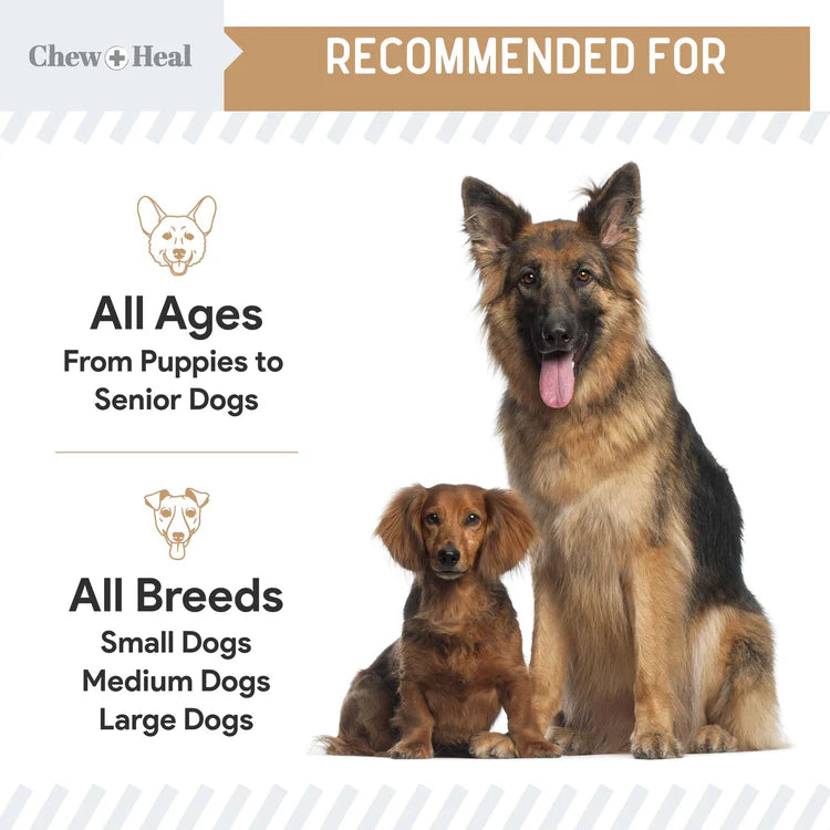 Chew + Heal Glucosamine Hip + Joint Peanut Butter Flavored Soft Chew Joint Supplement for Dogs, 90 count