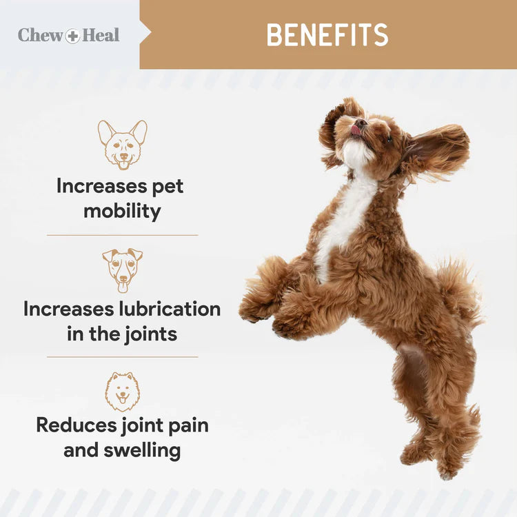 Chew + Heal Glucosamine Hip + Joint Peanut Butter Flavored Soft Chew Joint Supplement for Dogs, 90 count