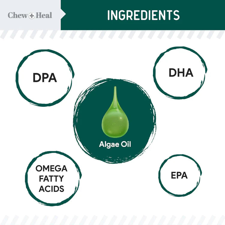 Algae Omega 3 Oil for Dogs