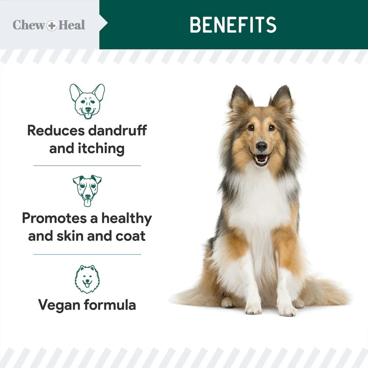 Algae Omega 3 Oil for Dogs