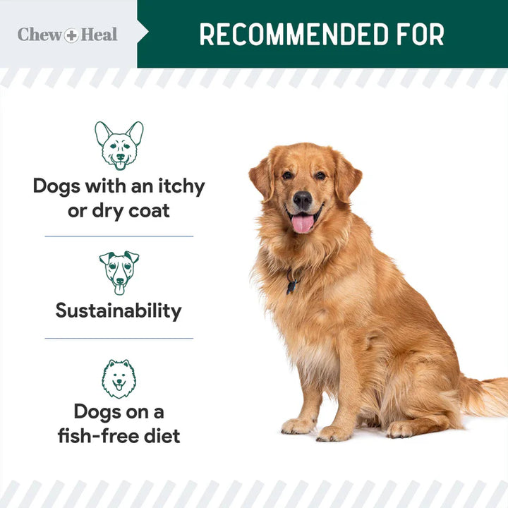 Algae Omega 3 Oil for Dogs