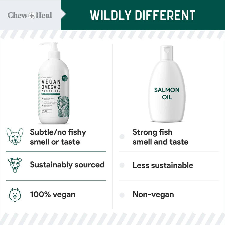 Algae Omega 3 Oil for Dogs