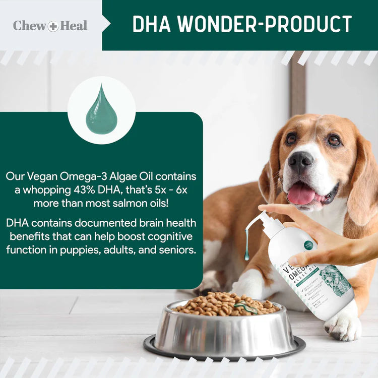 Algae Omega 3 Oil for Dogs