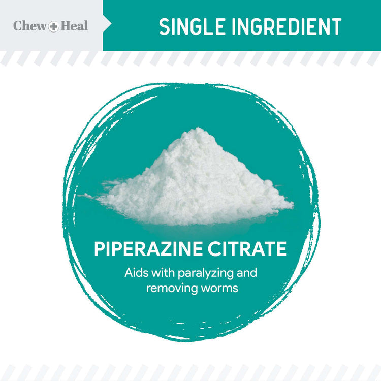 Stop The Worms Wormer for Puppies & Kittens 12oz