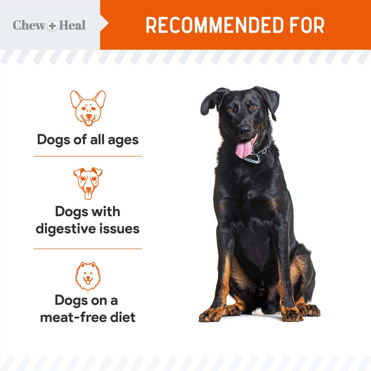 Pumpkin & Prebiotic Fiber Crunchy Biscuit Dog Treats