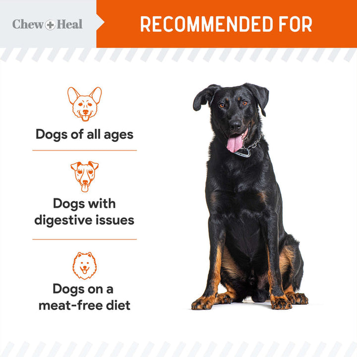 Pumpkin & Prebiotic Fiber Crunchy Biscuit Dog Treats