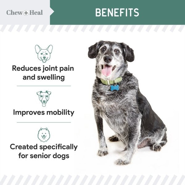 Senior Hip & Joint Dog Supplement