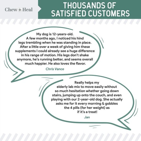 Senior Hip & Joint Dog Supplement