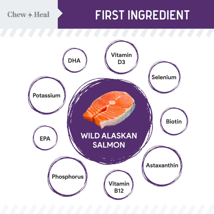Mobility Wild Alaskan Salmon Limited Ingredient Soft Jerky Dog Treats